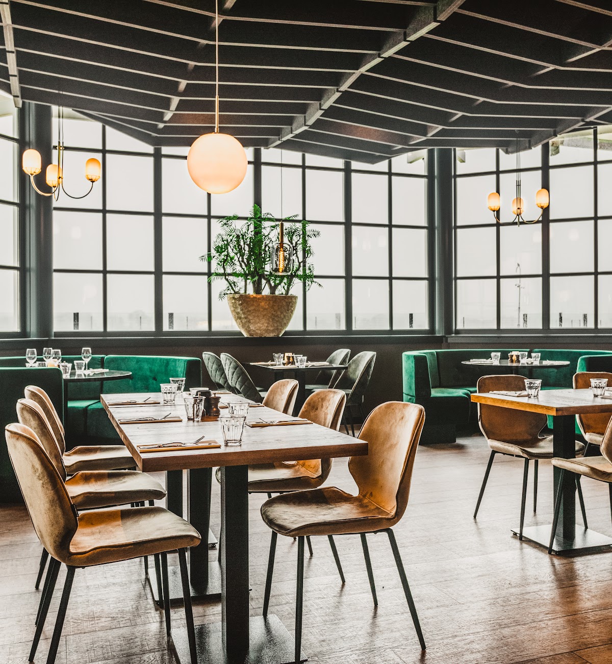 The interior of halal restaurant Mansion in Rotterdam, Netherlands, showing green upholstered seating, wooden tables, and large windows with natural light.