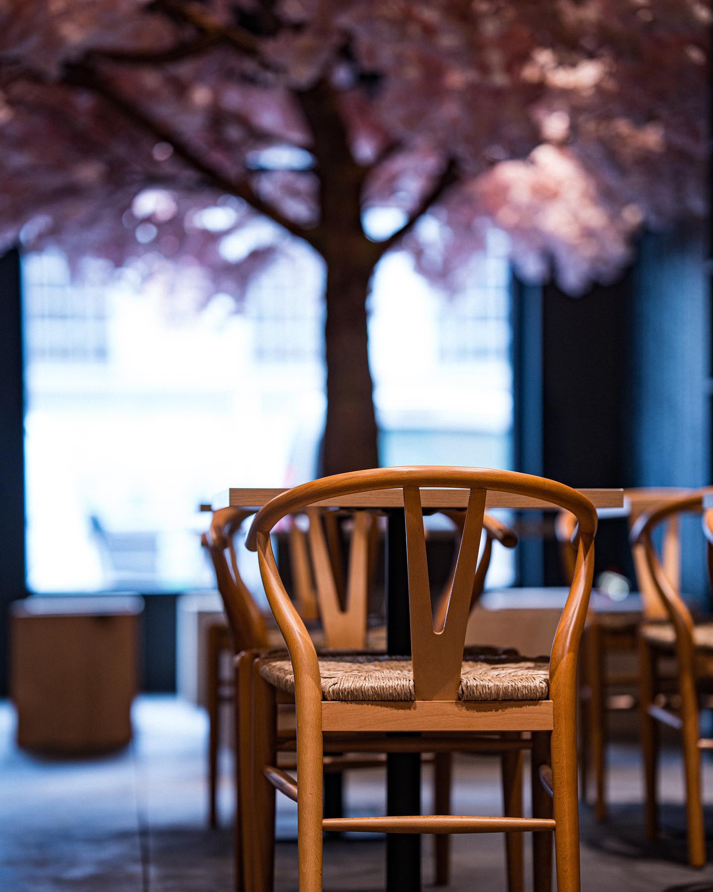 Photo intérieure ou extérieure du restaurant halal