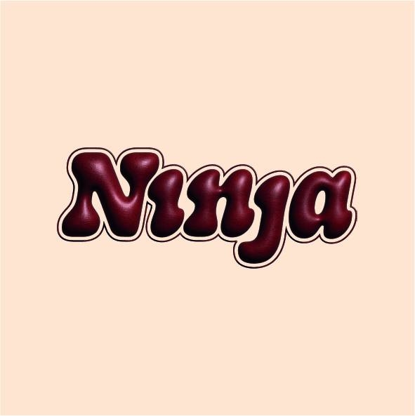 Logo du restaurant halal Ninja Antwerp